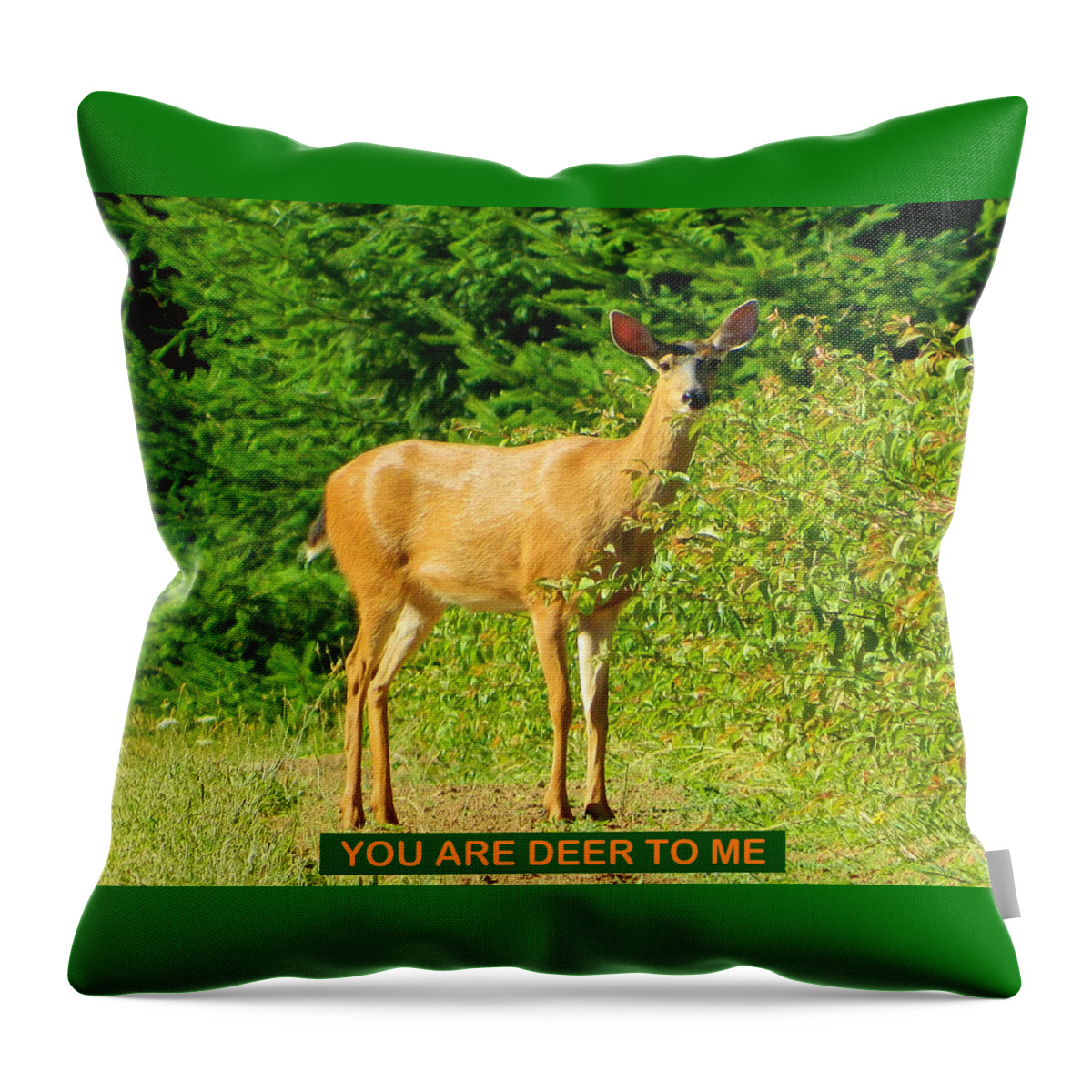 Deer Throw Pillow featuring the photograph Deer To Me by Gallery Of Hope 