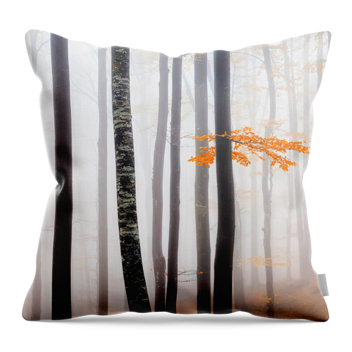 Balkan Mountains Throw Pillow featuring the photograph Delicate Forest by Evgeni Dinev