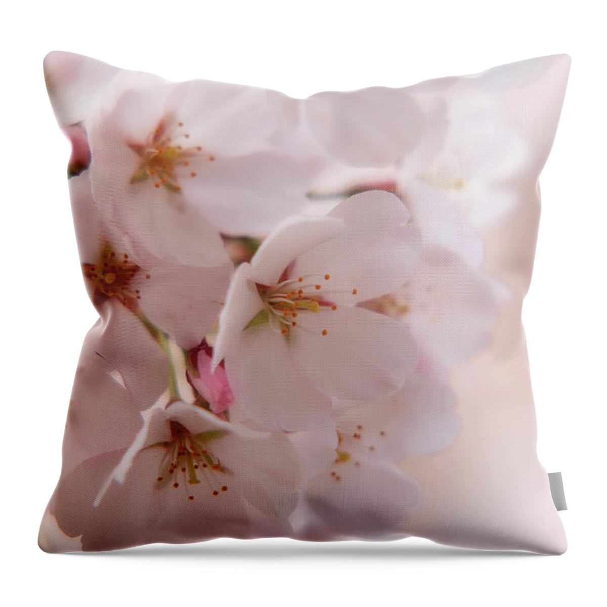 Cherry Blossom Trees Throw Pillow featuring the photograph Delicate Spring Blooms by Angie Tirado