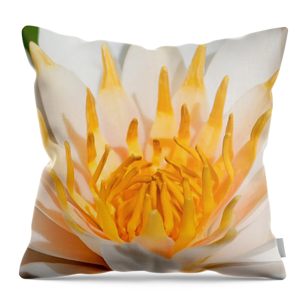 Water Lilly Throw Pillow featuring the photograph Delicate Touch by Az Jackson