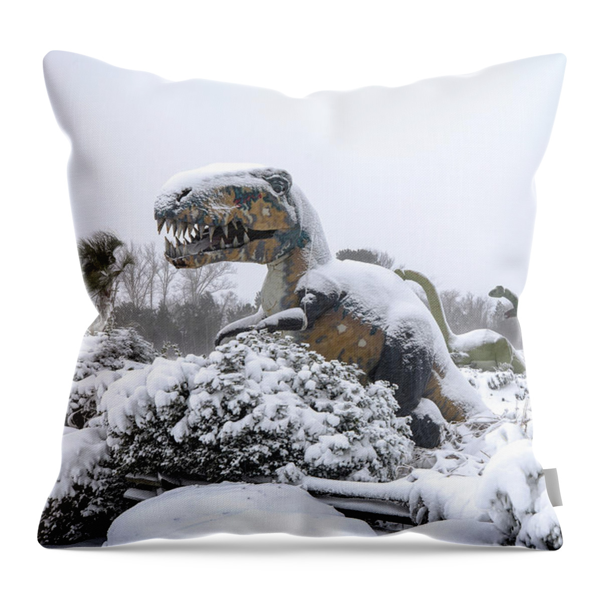 Photosbymch Throw Pillow featuring the photograph Demise of the dinosaurs by M C Hood