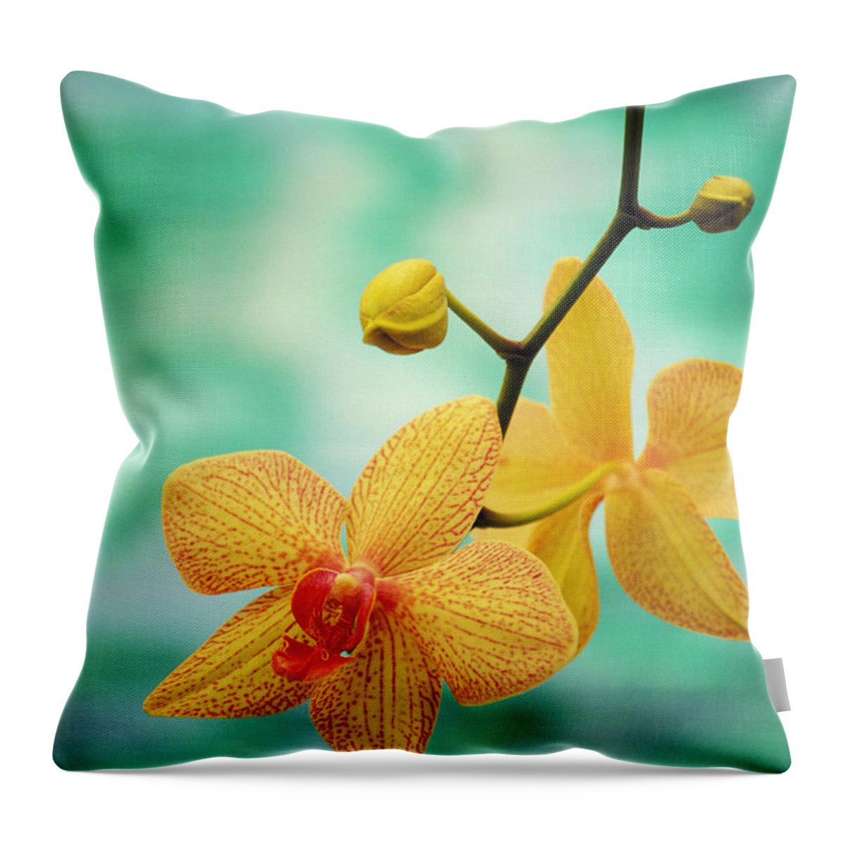 26-csm0163 Throw Pillow featuring the photograph Dendrobium by Allan Seiden - Printscapes