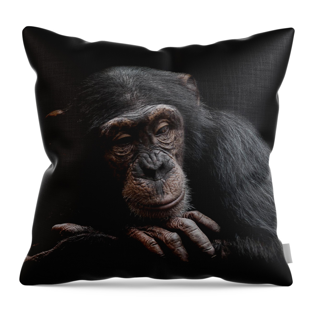 Chimpanzee Throw Pillow featuring the photograph Depression by Paul Neville