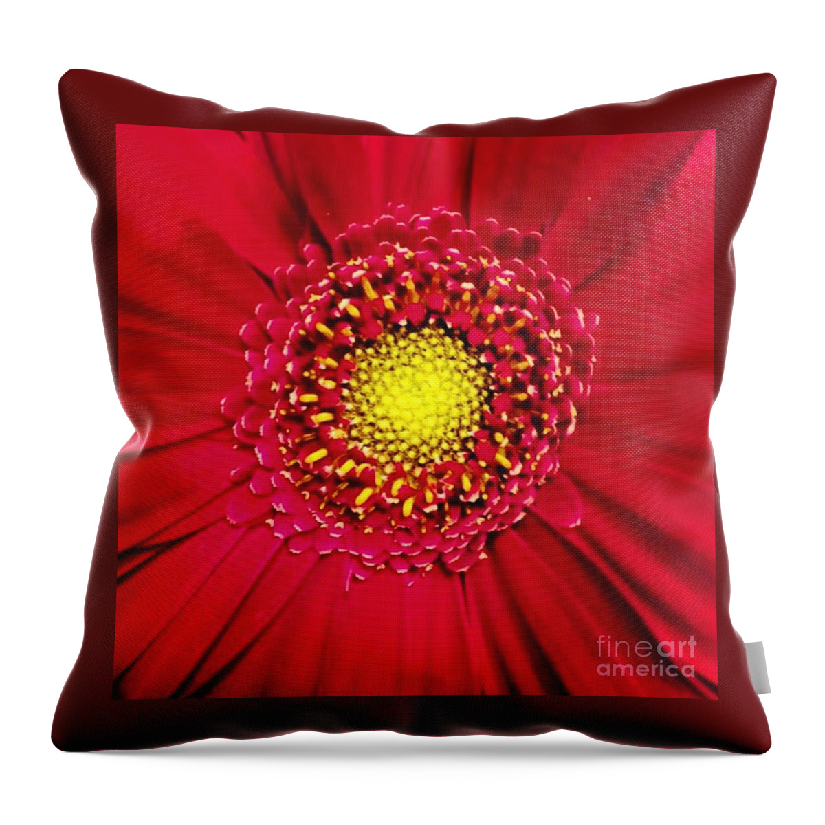 Flower Throw Pillow featuring the photograph Depth by Denise Railey