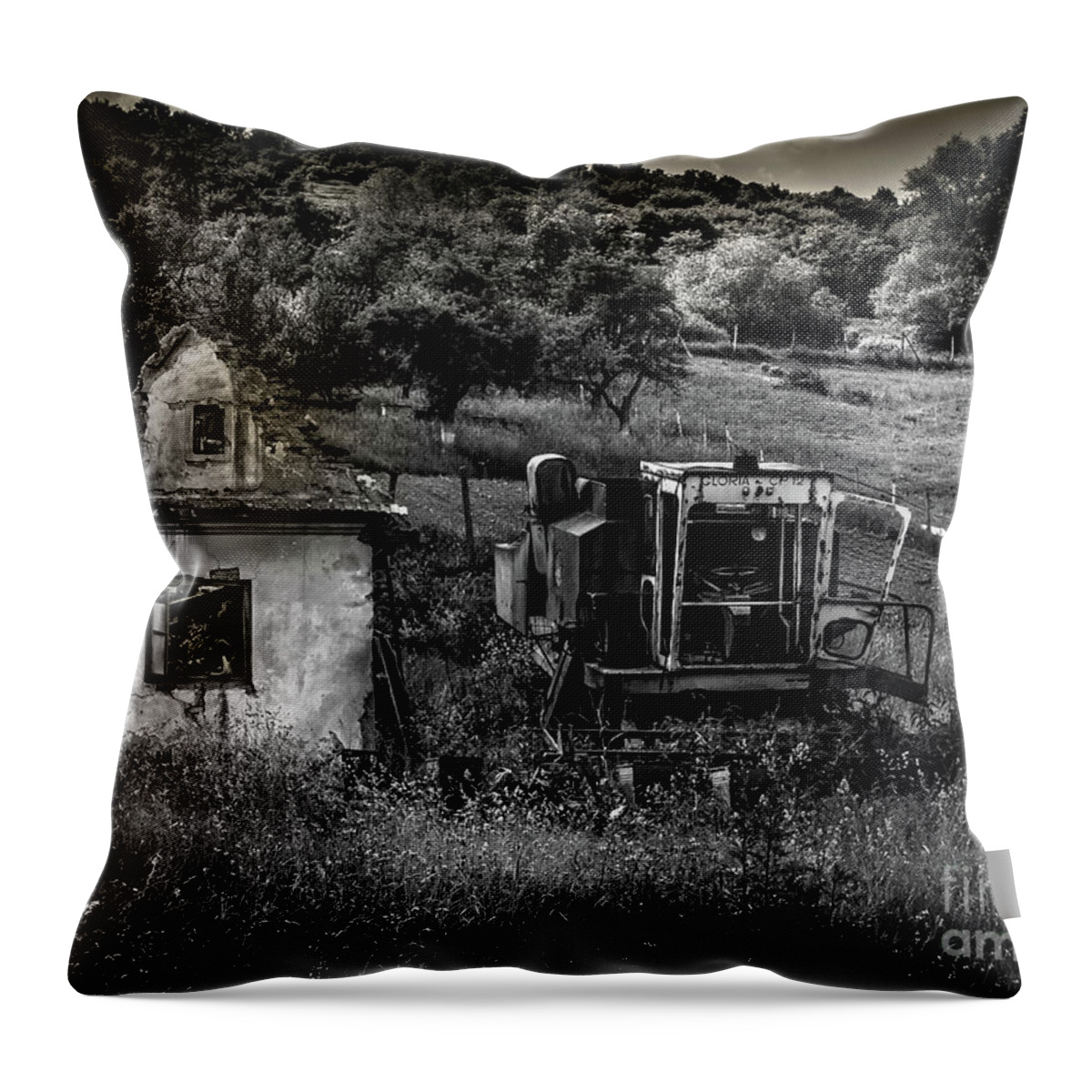 Derelict Throw Pillow featuring the photograph Derelict Farm, Transylvania by Perry Rodriguez