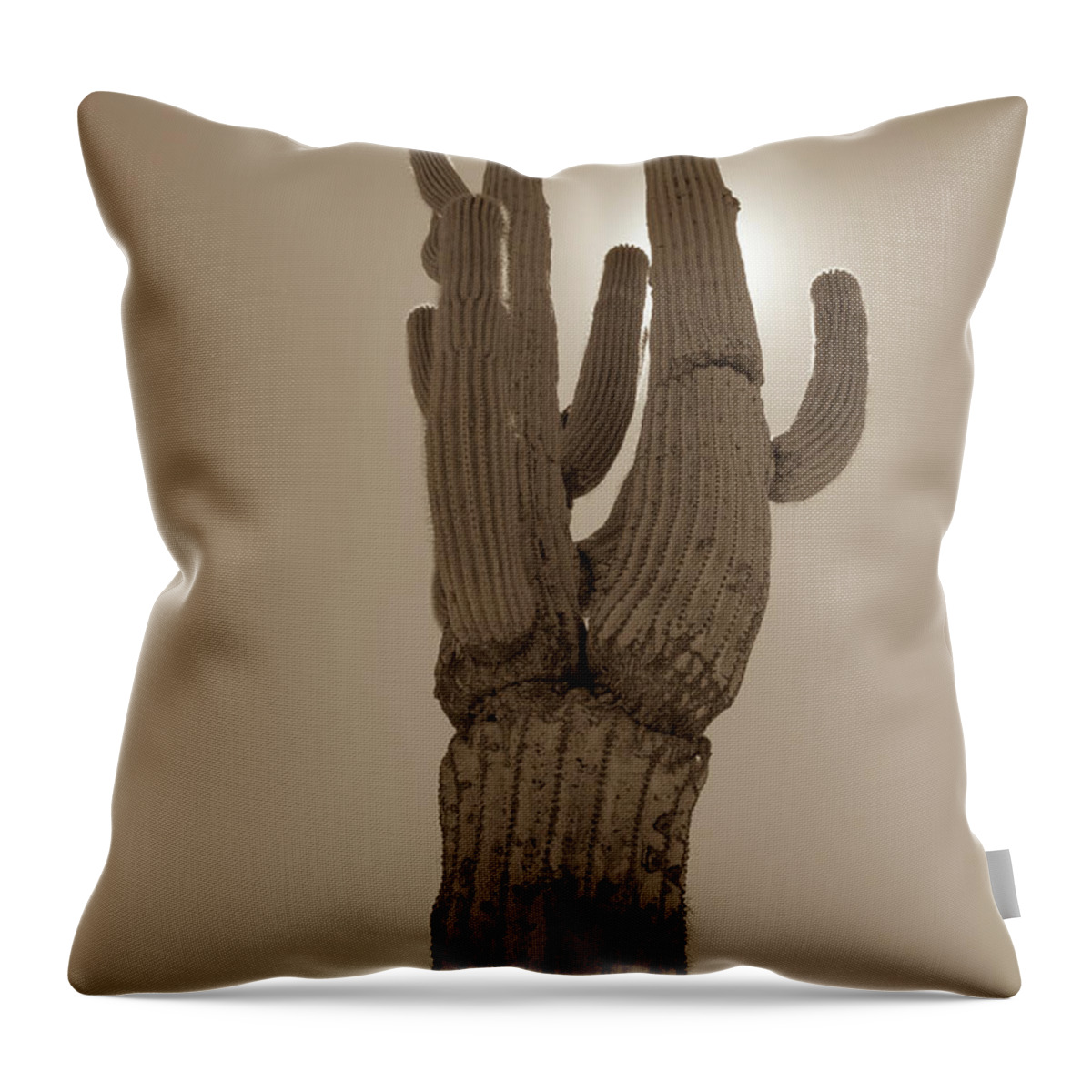 Desert Throw Pillow featuring the photograph Desert cactus by Darrell Foster