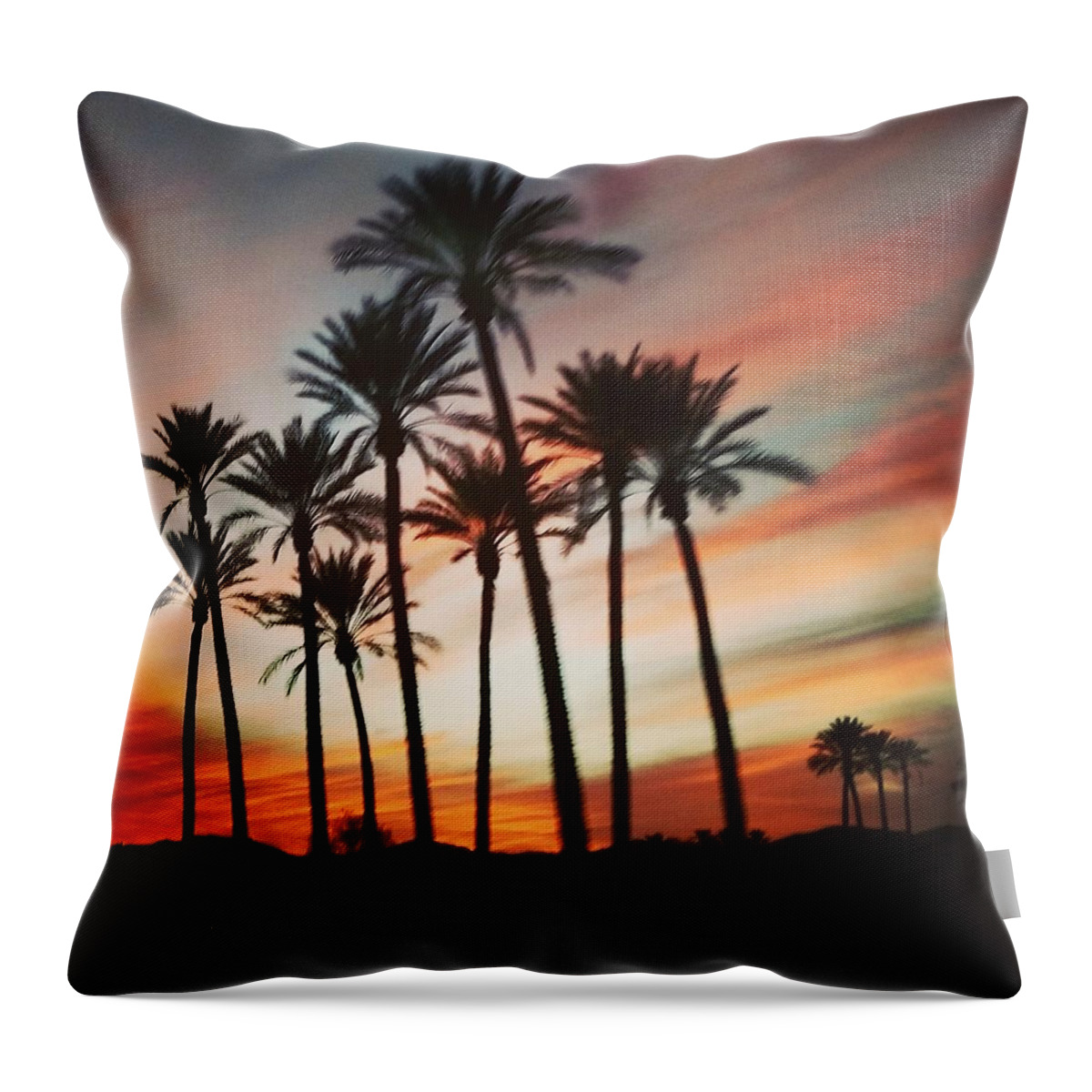 Palm Trees Throw Pillow featuring the photograph Desert Palms Sunset by Vic Ritchey