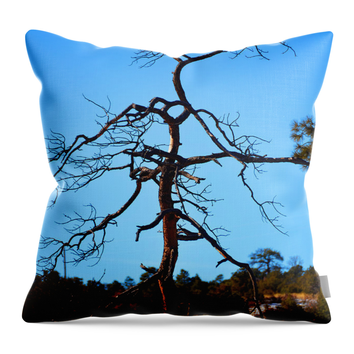 Southwest Landscape Throw Pillow featuring the photograph Deserts toll by Robert WK Clark