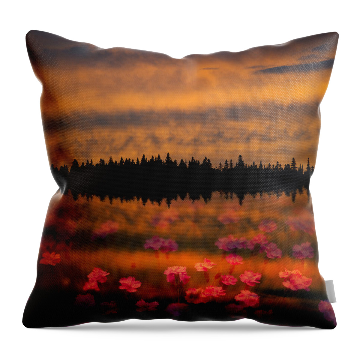 Canada Throw Pillow featuring the photograph Destiny by Doug Gibbons