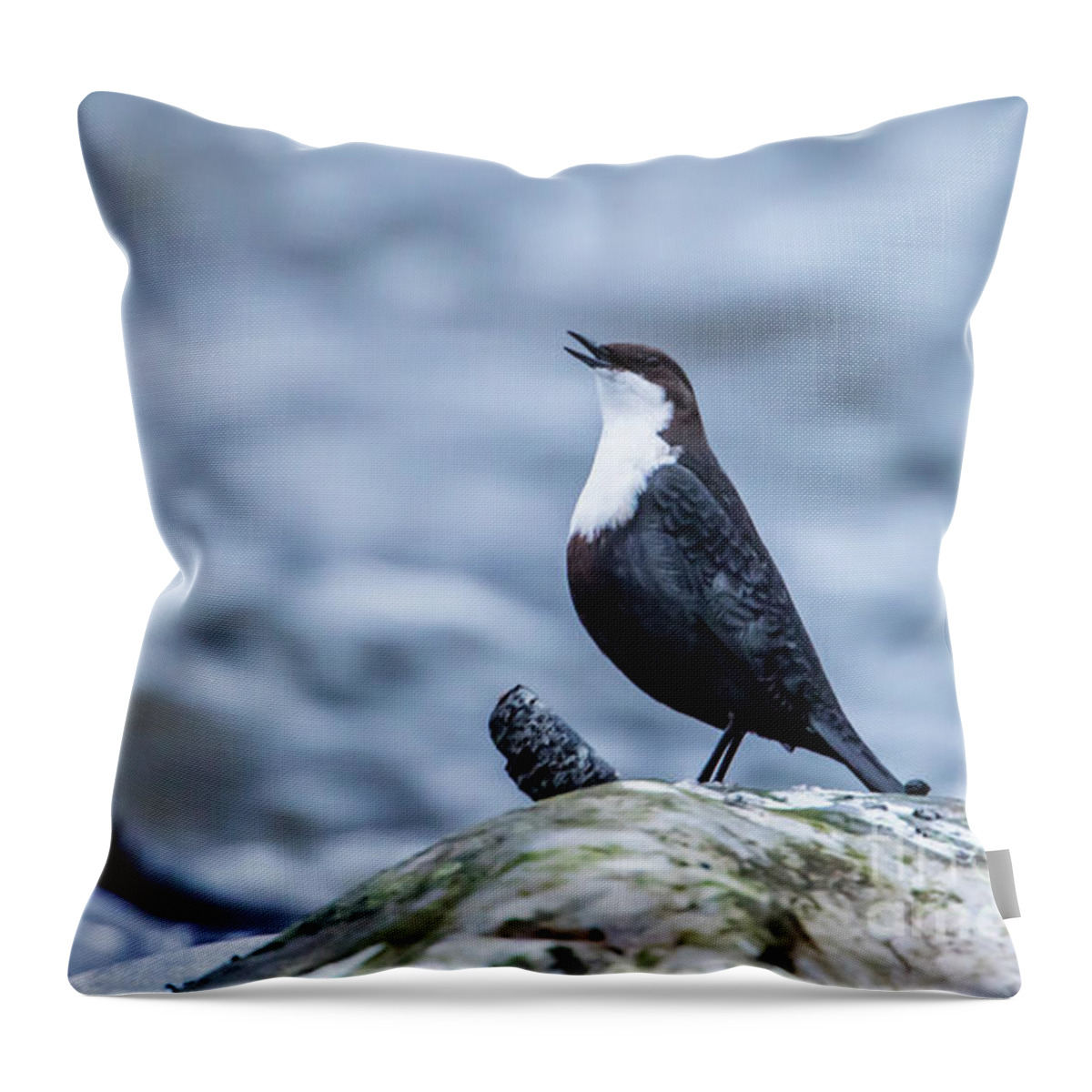 Dipper's Call Throw Pillow featuring the photograph Dipper's Call by Torbjorn Swenelius