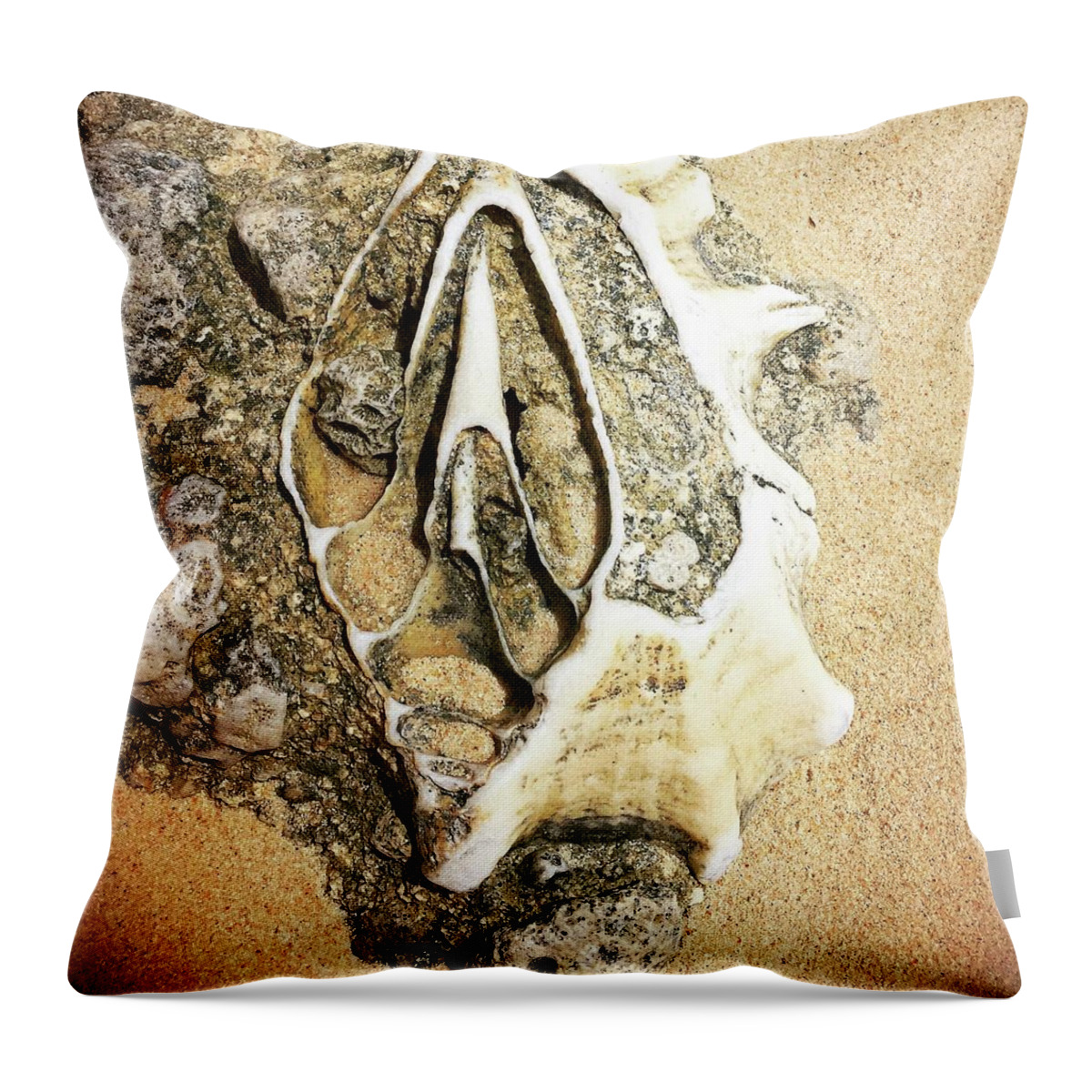 Shell Throw Pillow featuring the photograph Discovery at low tide by AnneMarie Welsh