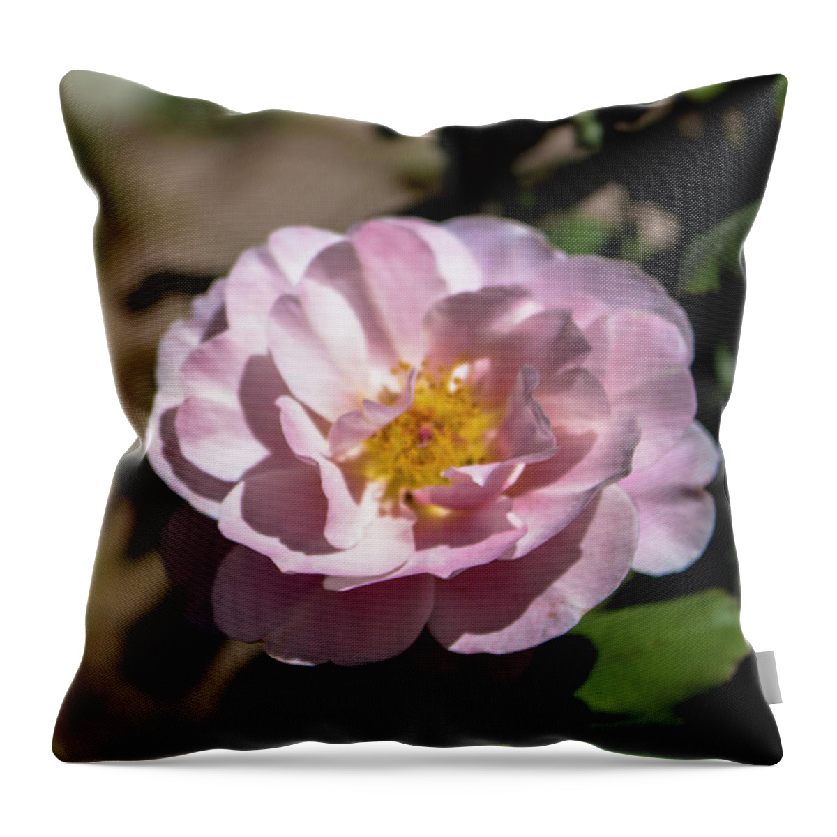 Close-up Throw Pillow featuring the photograph Distant Drums Rose - 2 by K Bradley Washburn