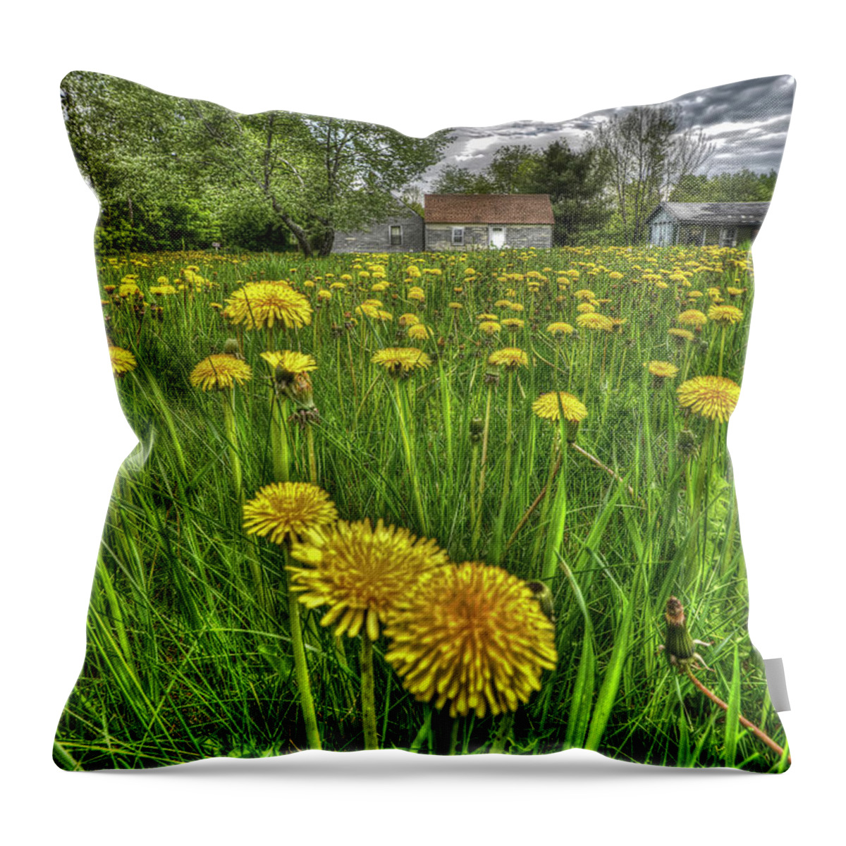 Dandelions Throw Pillow featuring the photograph Dlion Delit by Jeff Cooper