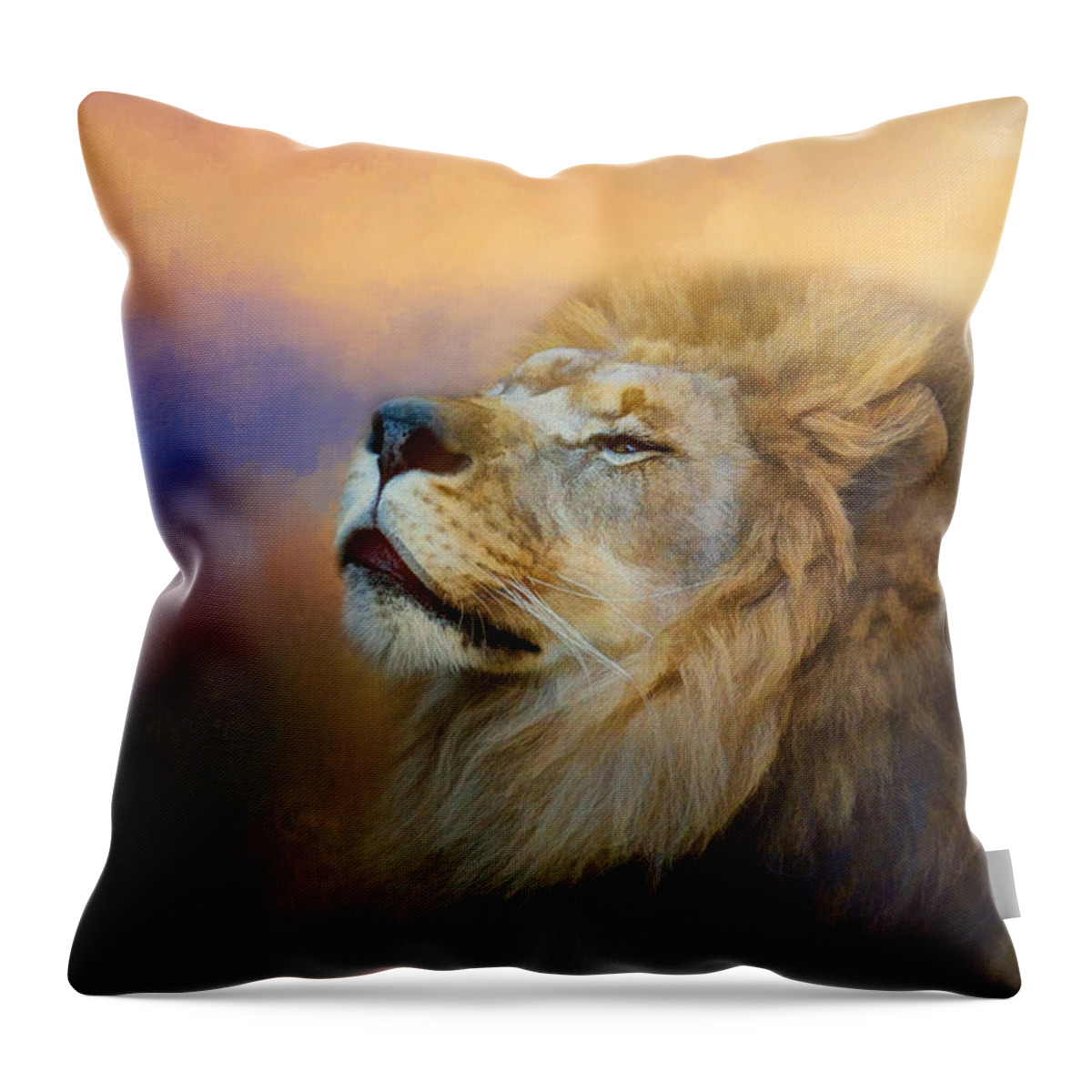 Jai Johnson Throw Pillow featuring the photograph Do Lions Go To Heaven? by Jai Johnson