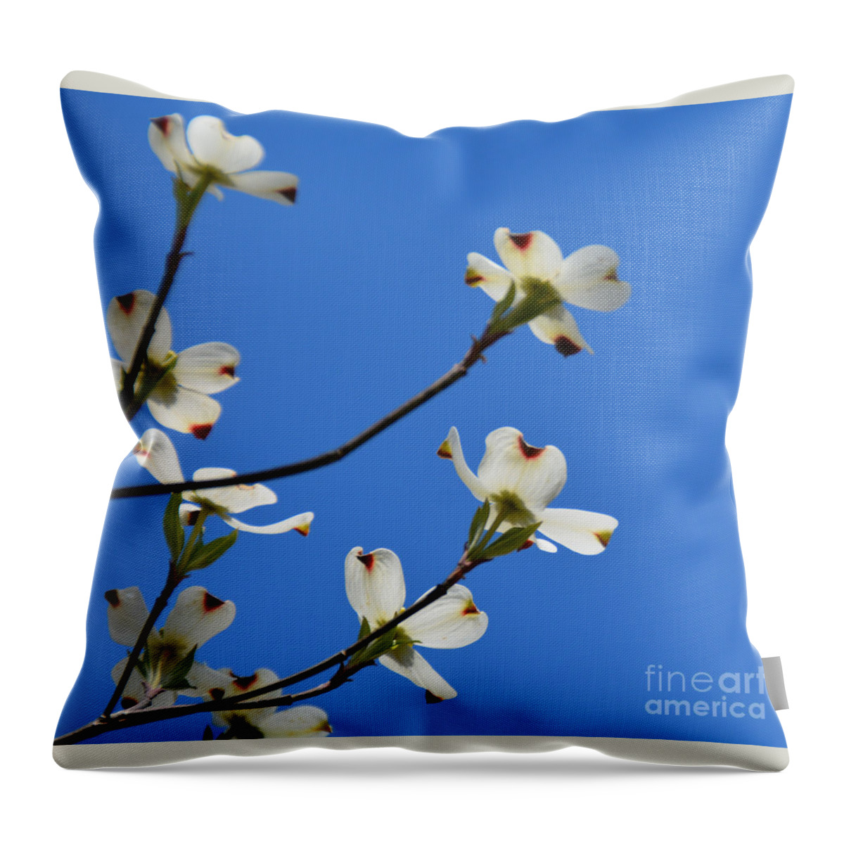Flowering Tree Throw Pillow featuring the photograph Dogwood Blooms by Jan Gelders