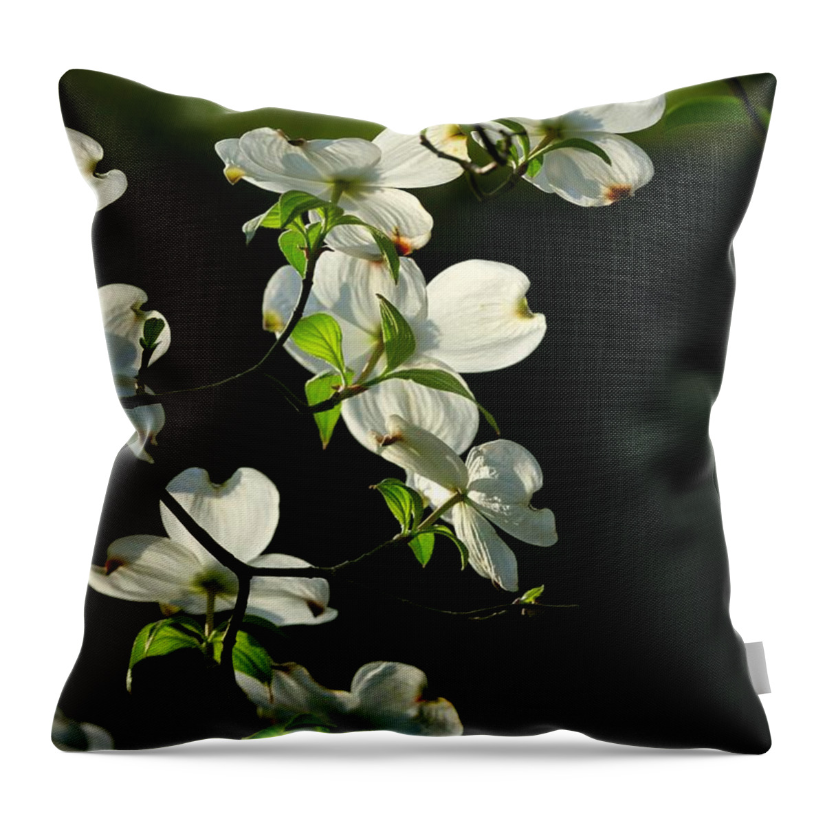 Dogwood Flowers Throw Pillow featuring the photograph Dogwood Retrospective by Michael Dougherty