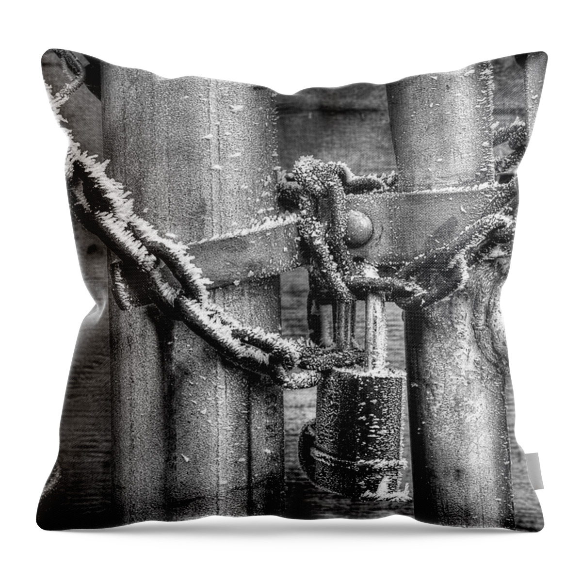 Fence Throw Pillow featuring the photograph Don't Fence Me Out by Mike Eingle