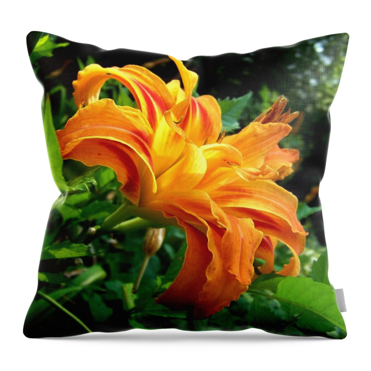 Flower Throw Pillow featuring the photograph Double Blossom Orange Lily by Jai Johnson