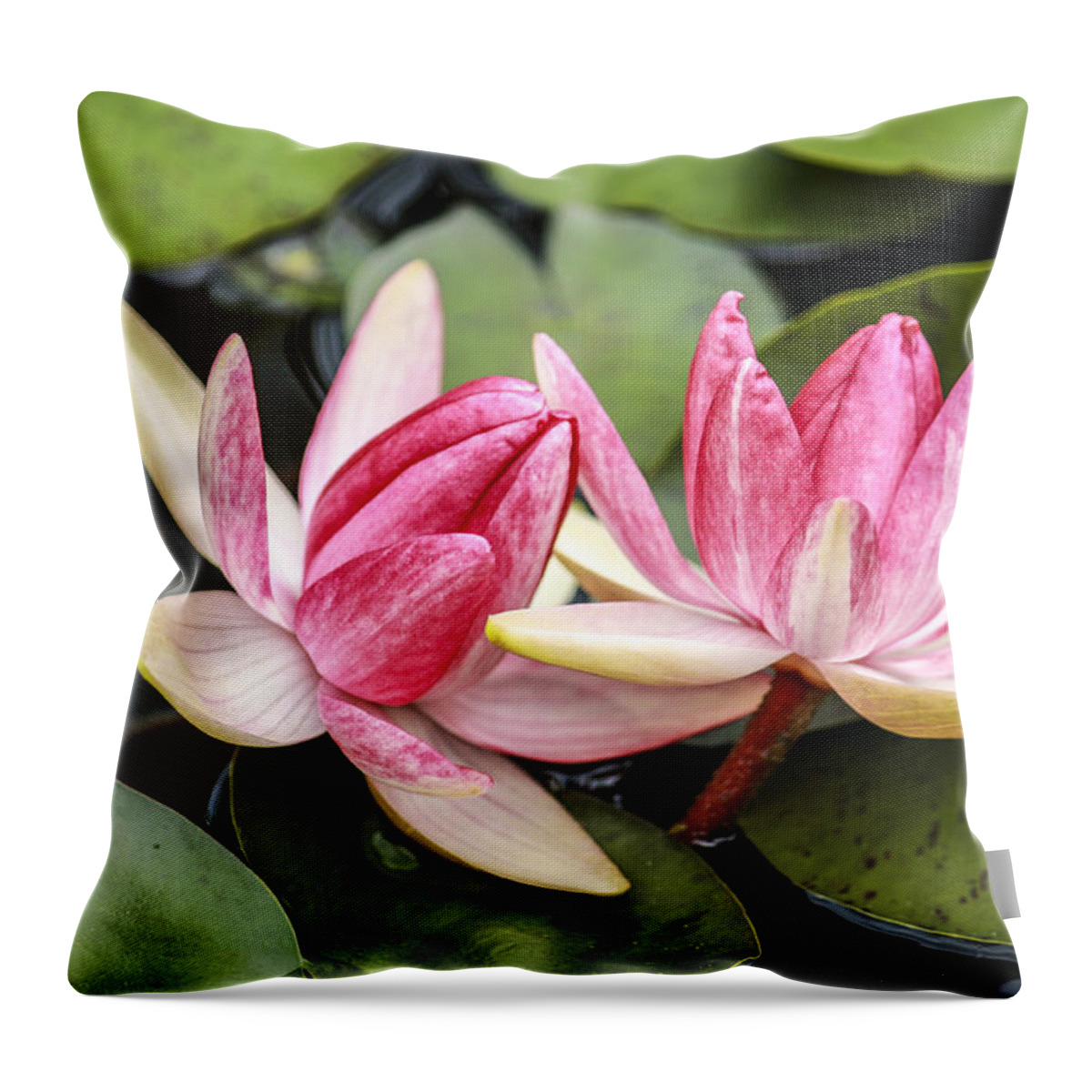 Water Throw Pillow featuring the photograph Double the Beauty by Marina Kojukhova