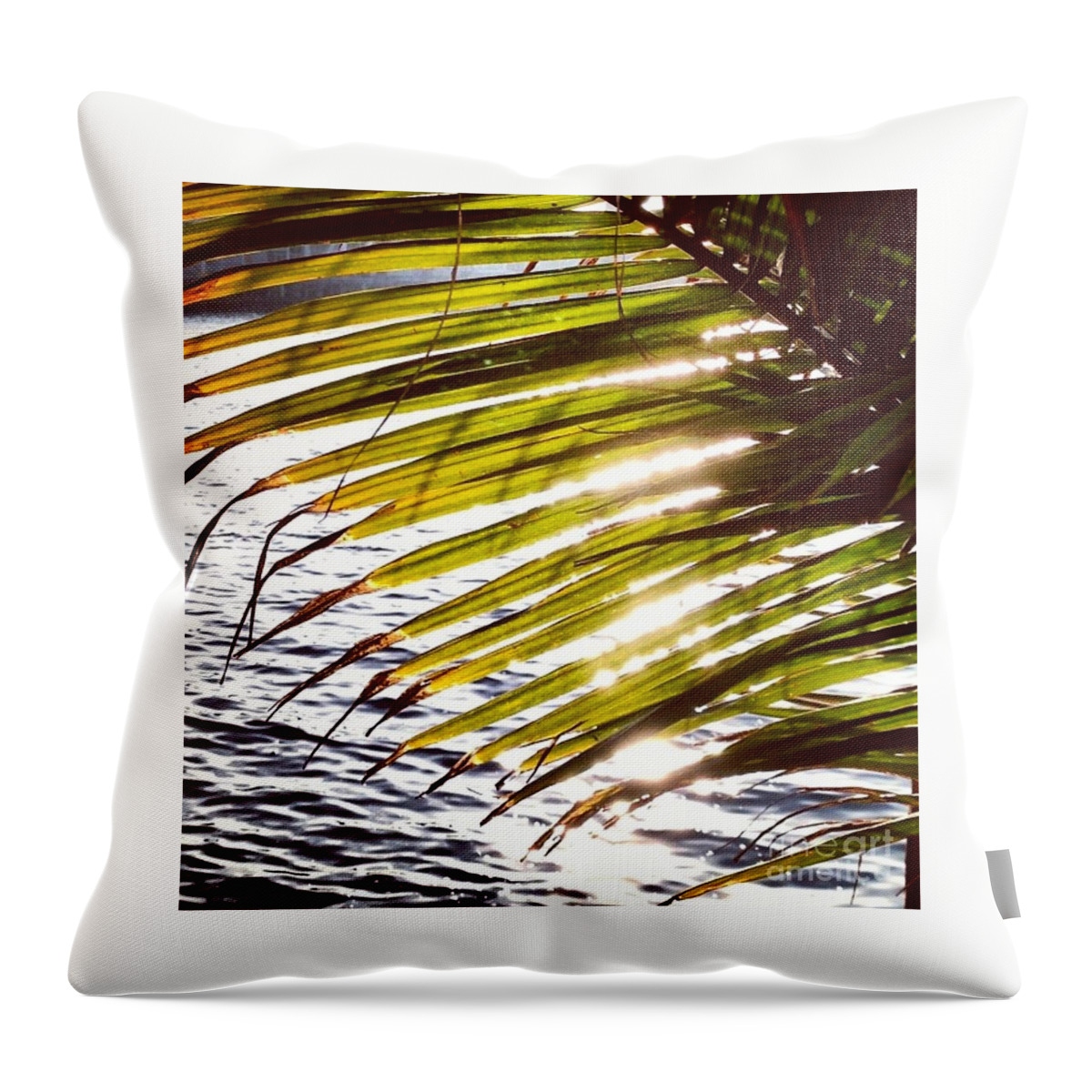 Palm Throw Pillow featuring the photograph Downtown by Denise Railey