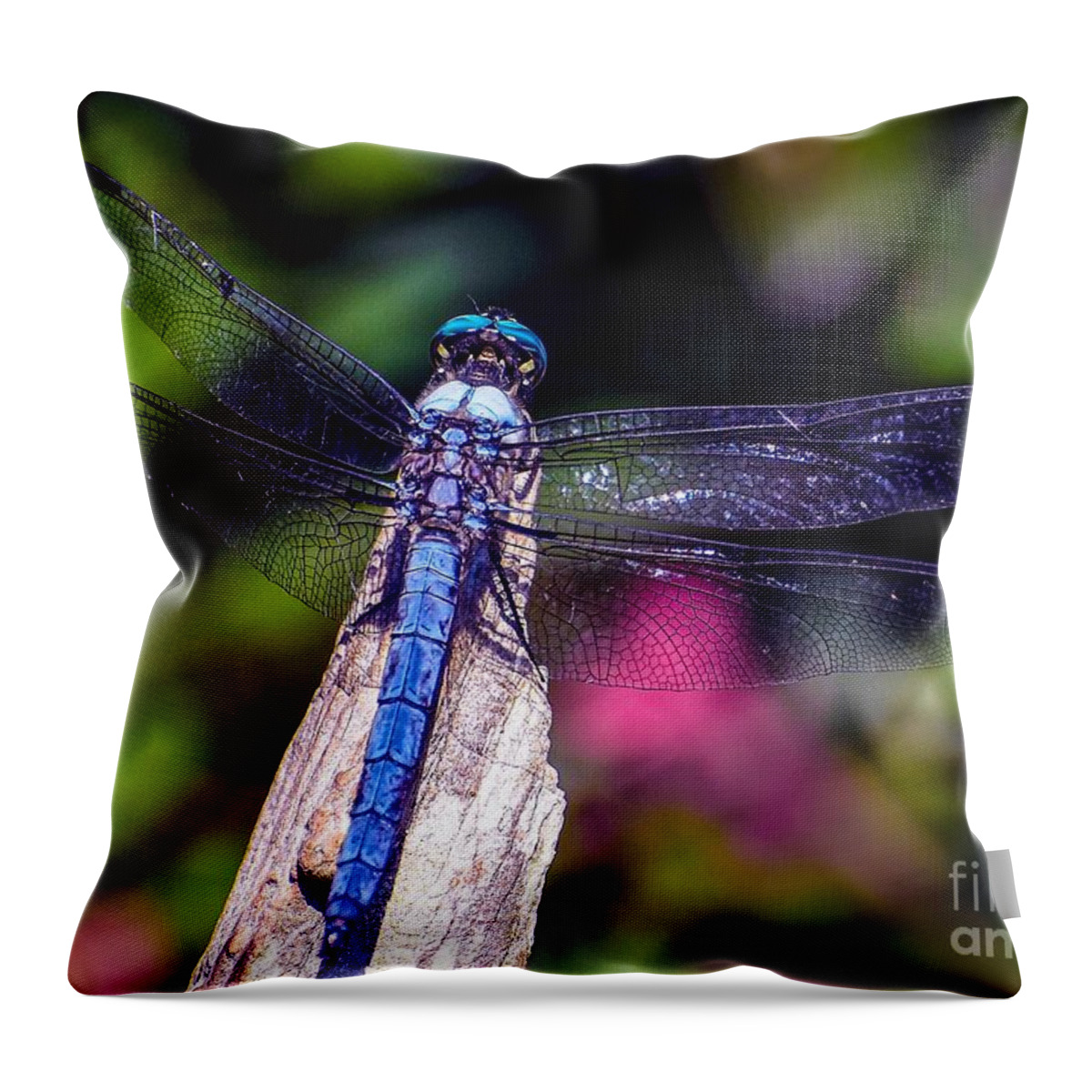 Nature Throw Pillow featuring the photograph Dragonfly by DB Hayes