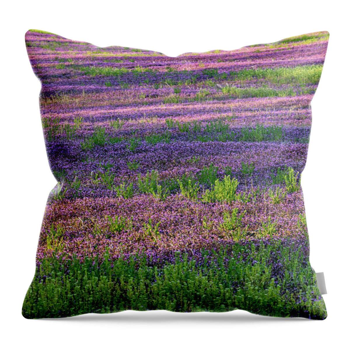 Spring Throw Pillow featuring the photograph Dreaming of France by Holly Ross
