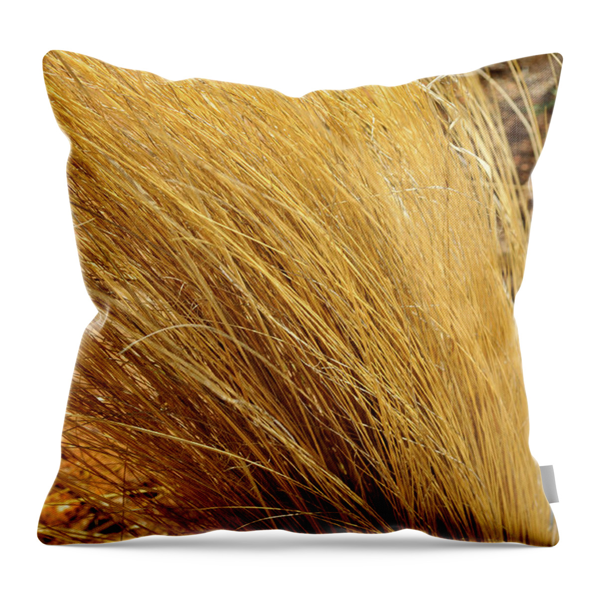 Landscape Throw Pillow featuring the photograph Dried Grass by Ron Cline