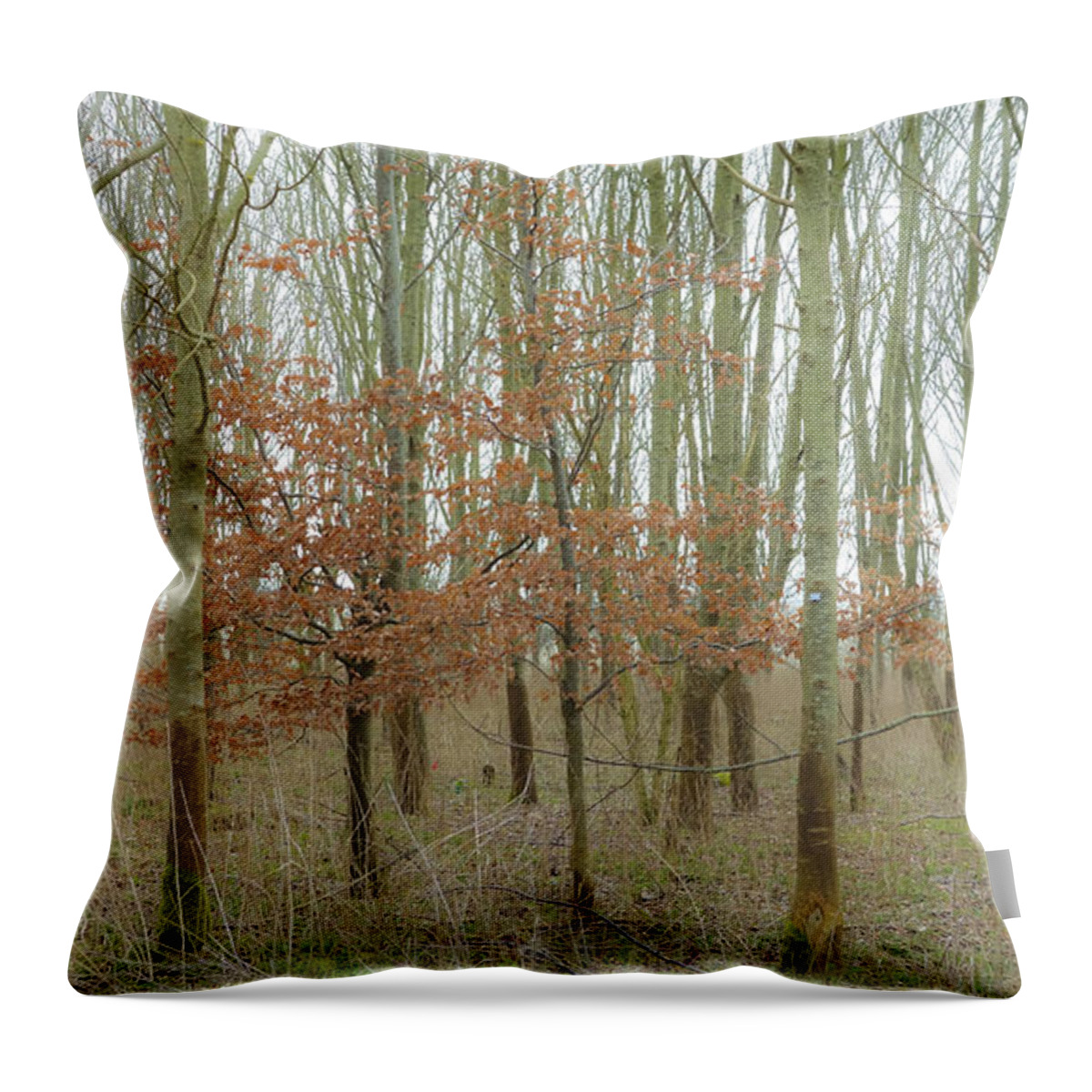 Trees Throw Pillow featuring the photograph Dualing Trees by Matthew Bamberg