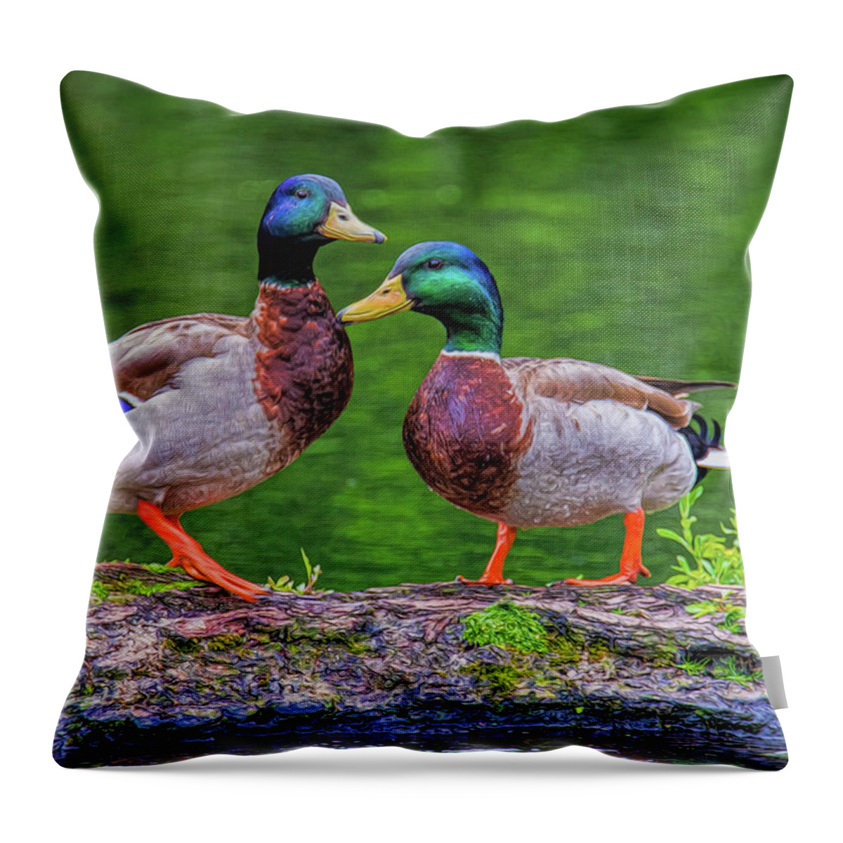 Mallards Throw Pillow featuring the photograph Duck Buddies by Cathy Kovarik