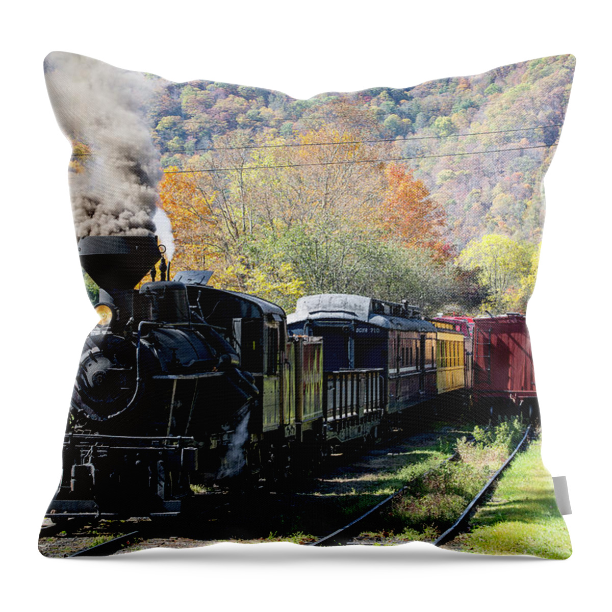 Photosbymch Throw Pillow featuring the photograph Durbin Rocket with Fall Leaves by M C Hood