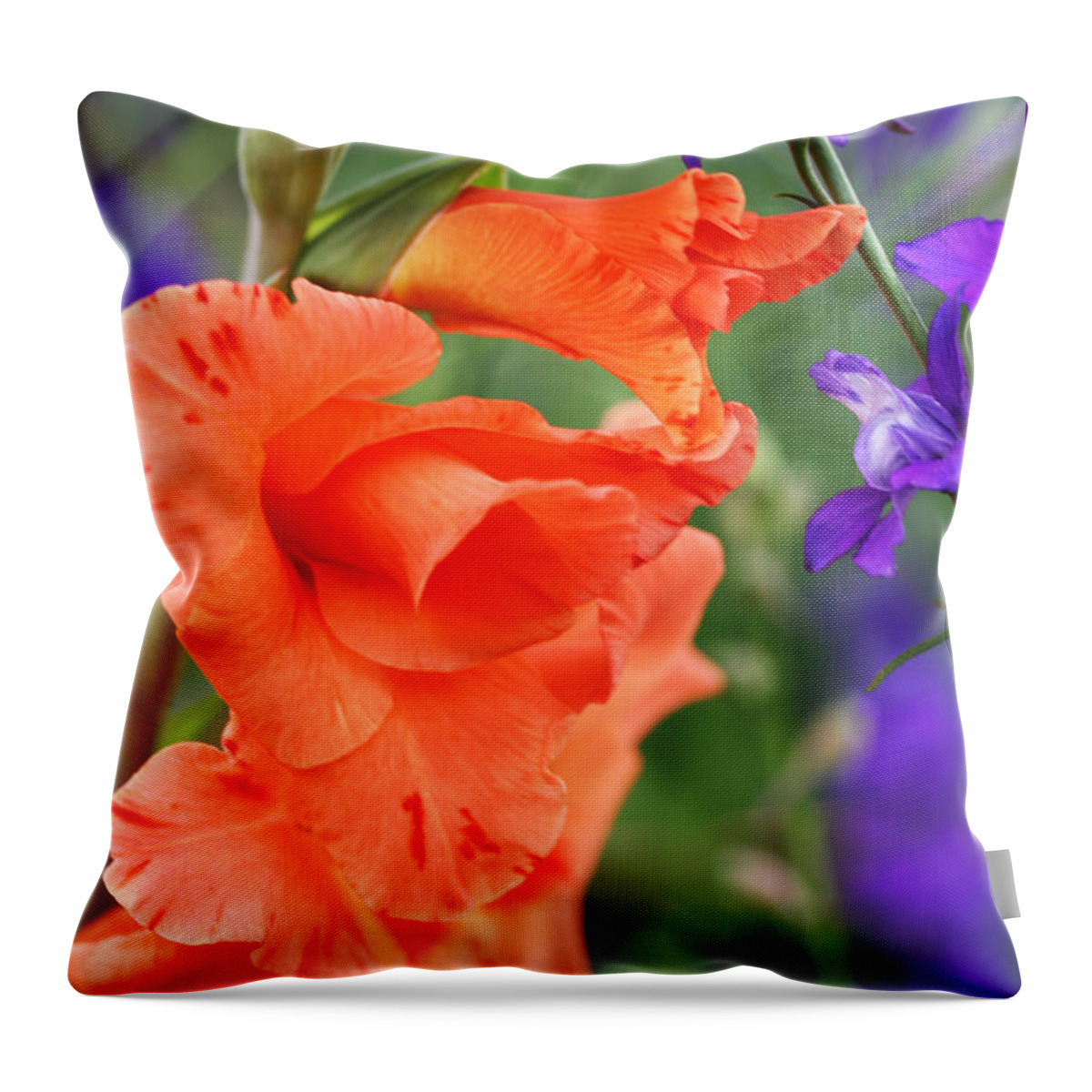 Gladiolus Throw Pillow featuring the photograph Dynamic Gladiolus by Tammy Pool