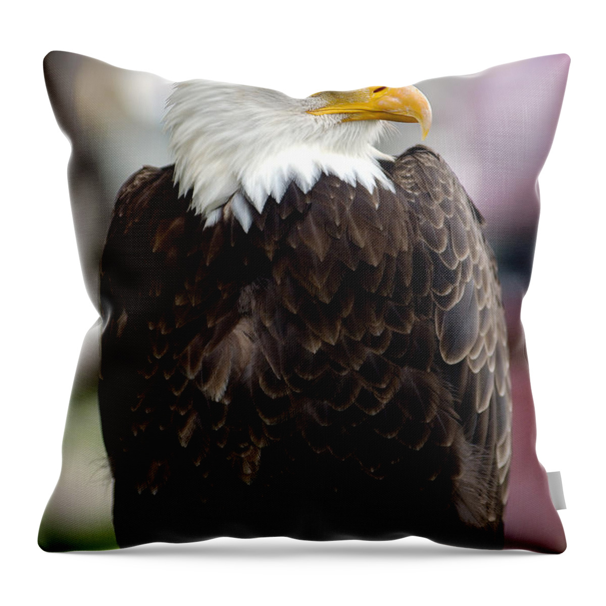 Eagle Throw Pillow featuring the photograph Eagle by Doug Gibbons