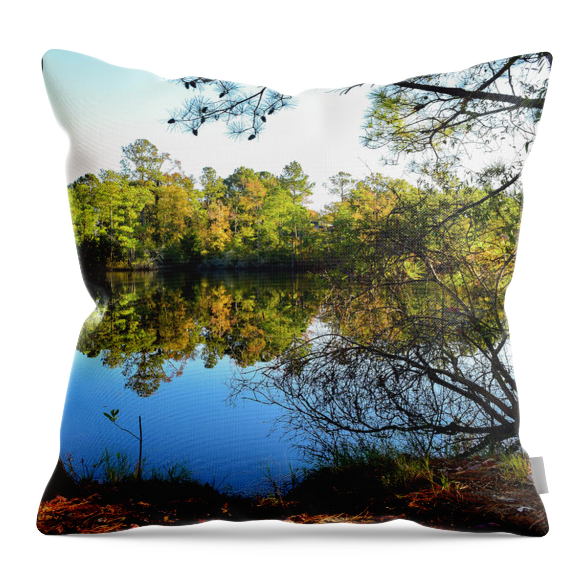 Fall Throw Pillow featuring the photograph Early Fall Reflections by Nicole Lloyd