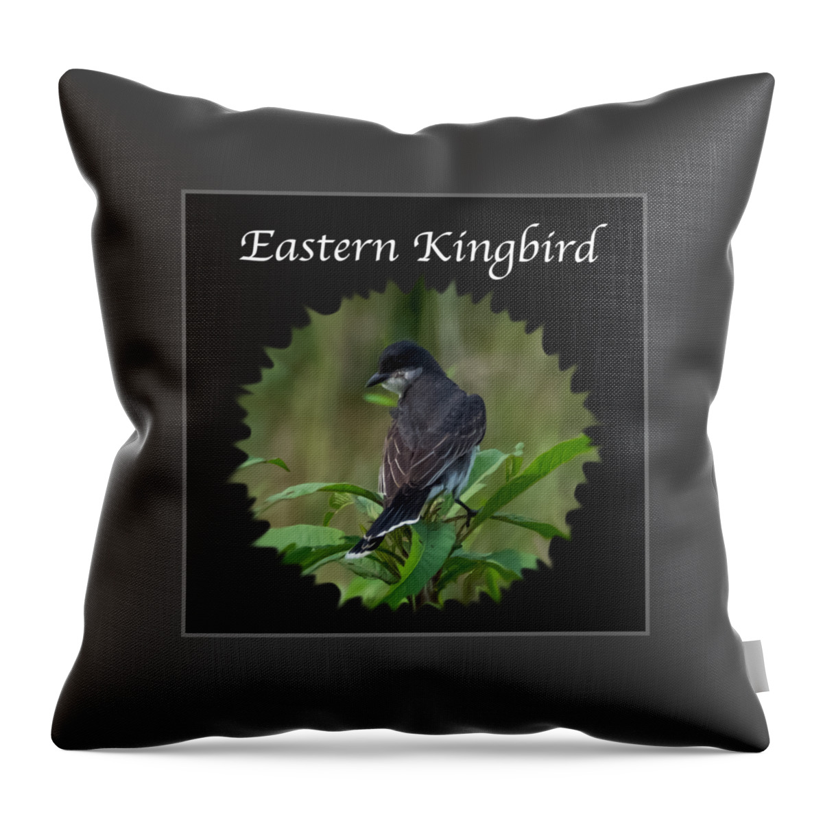 Eastern Kingbird Throw Pillow featuring the photograph Eastern Kingbird by Holden The Moment