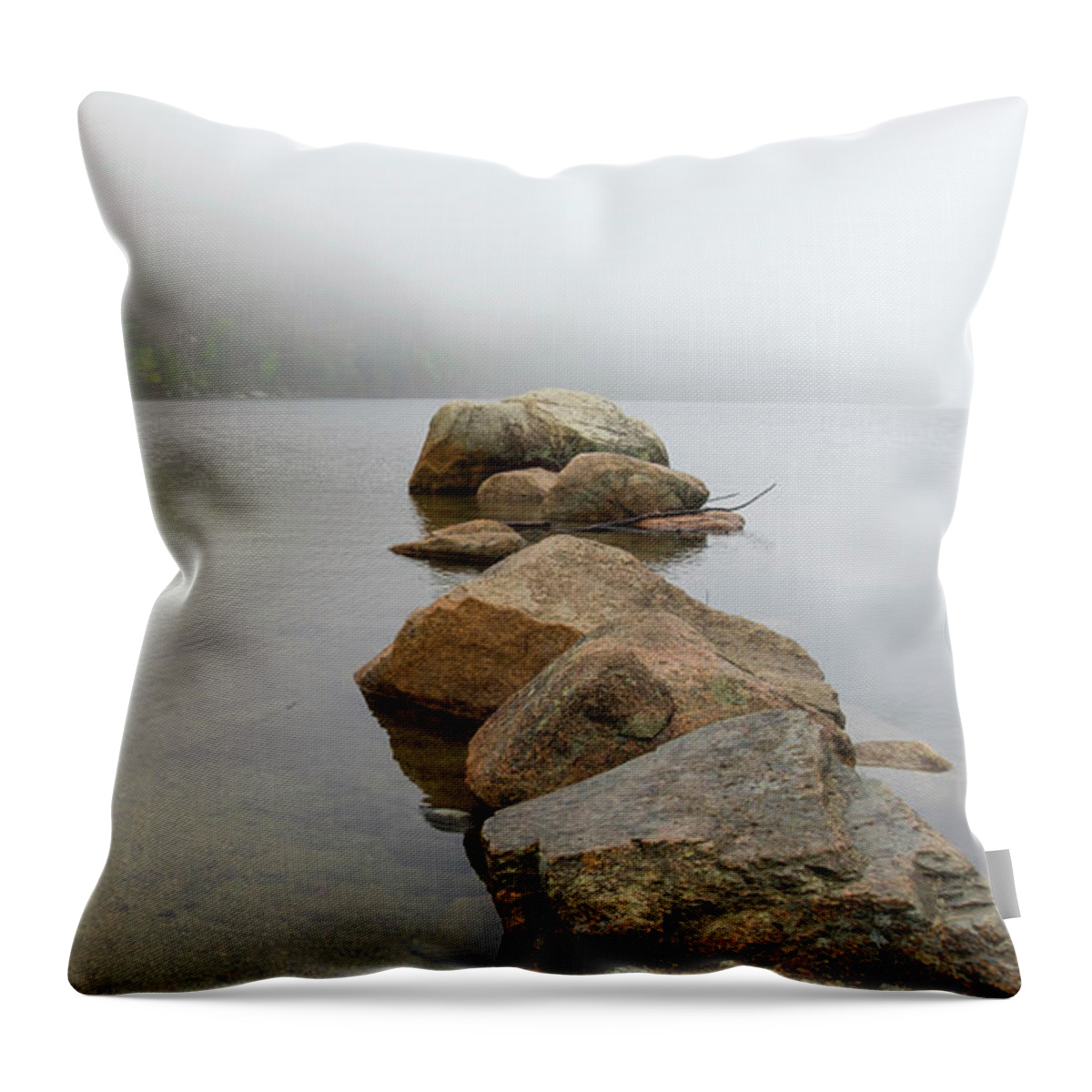Rocks Throw Pillow featuring the photograph Into the Mist by Holly Ross