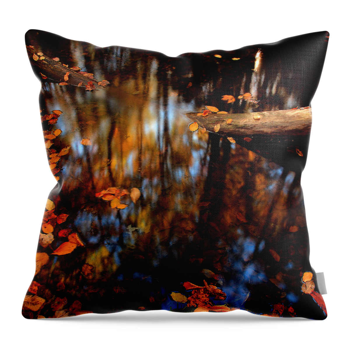 River Scene Throw Pillow featuring the photograph Edge Of Wishes by Mike Eingle