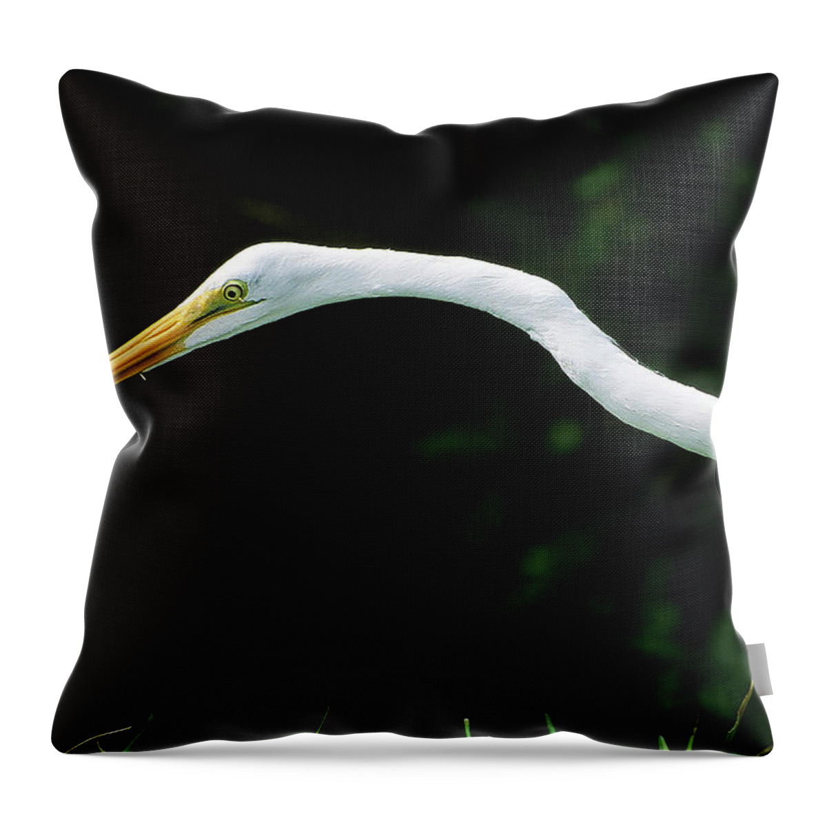 Egret Throw Pillow featuring the photograph Egret 1 by Ted Keller