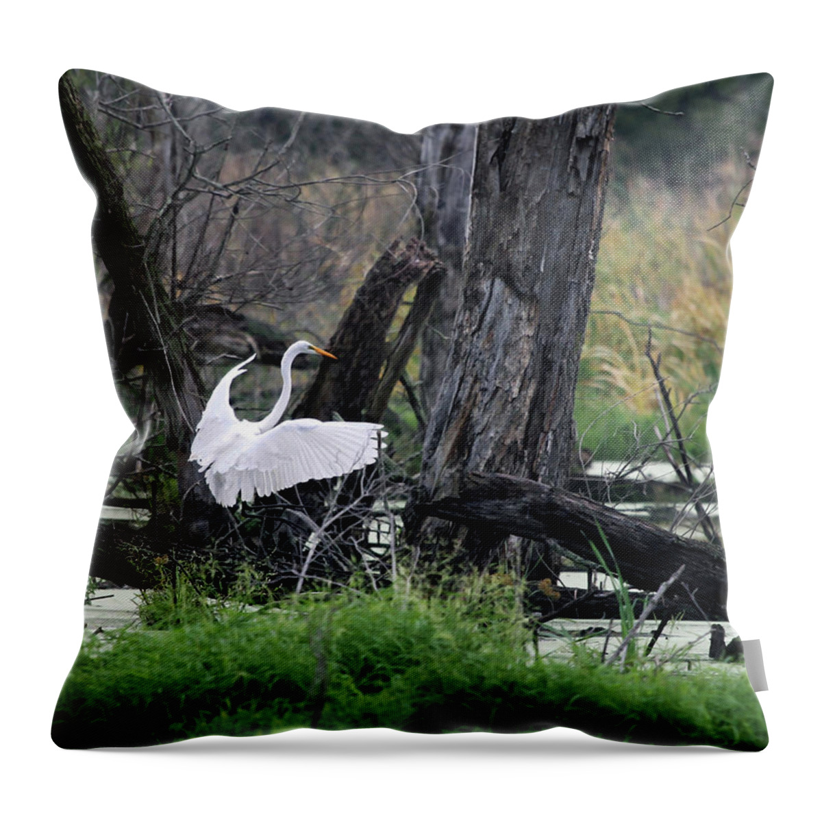 Egret Throw Pillow featuring the photograph Egret In Flight by Jackson Pearson