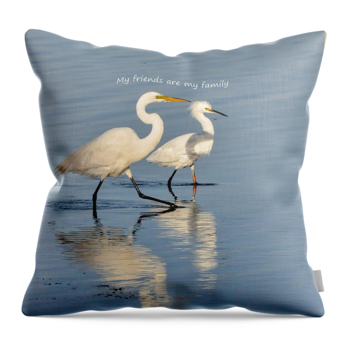  Throw Pillow featuring the photograph Egrets say My Friends are My Family by Sherry Clark