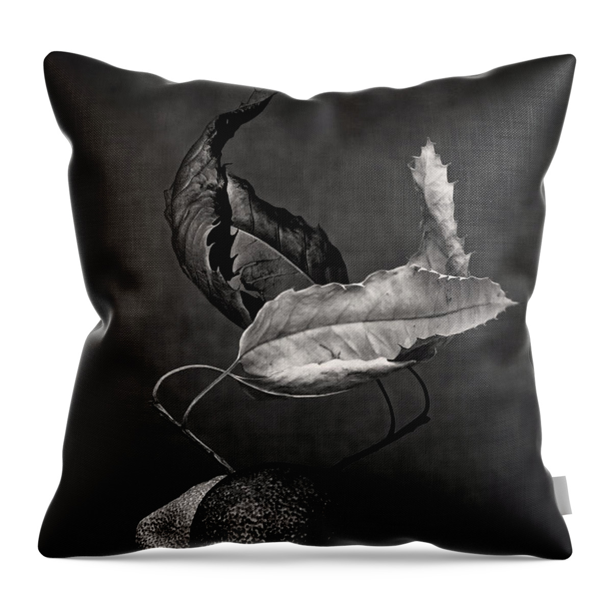 Black And White Throw Pillow featuring the photograph El Tango by Dorit Fuhg