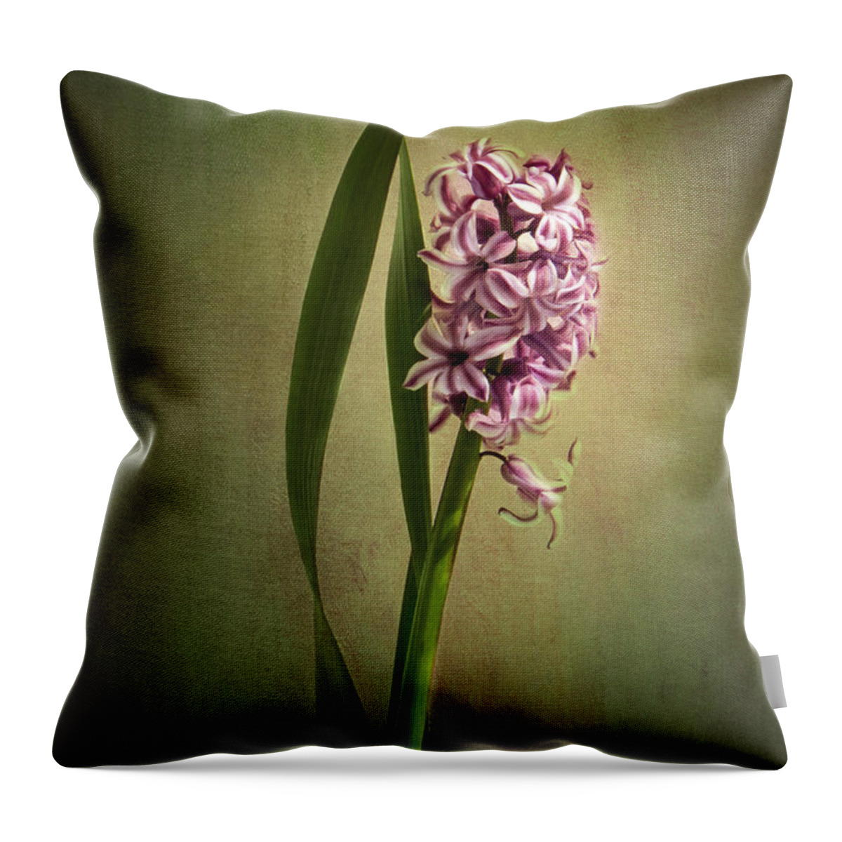 Hyacinth Flower Throw Pillow featuring the photograph Elegance by Marina Kojukhova