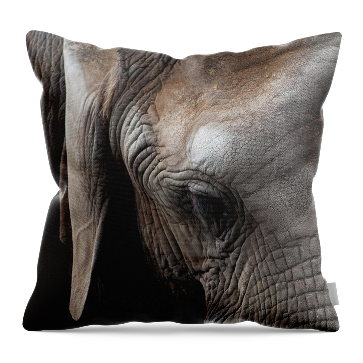 Elephant Throw Pillow featuring the photograph Elephant Eye by Lorraine Devon Wilke