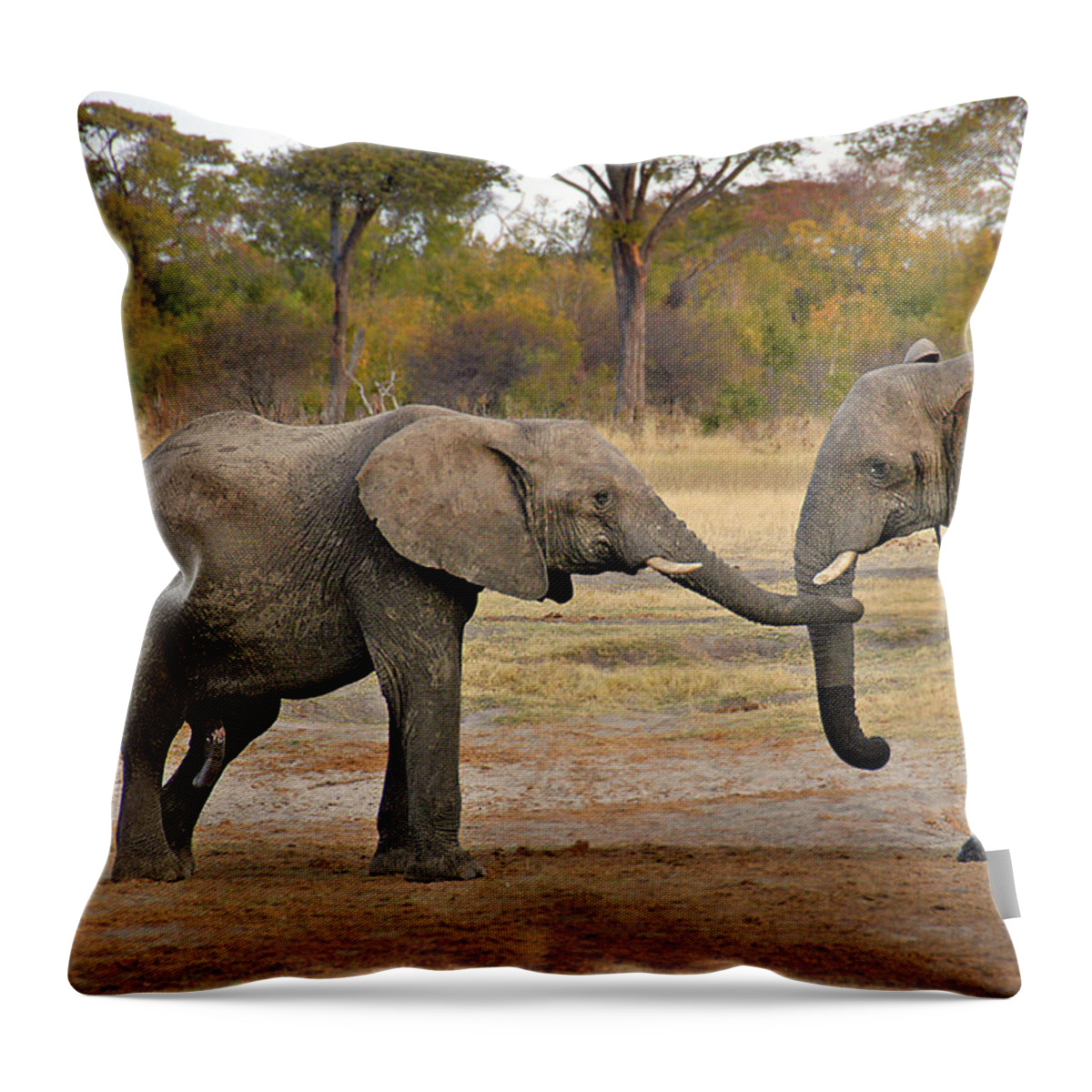 Elephant Throw Pillow featuring the photograph Elephant Greeting by Ted Keller