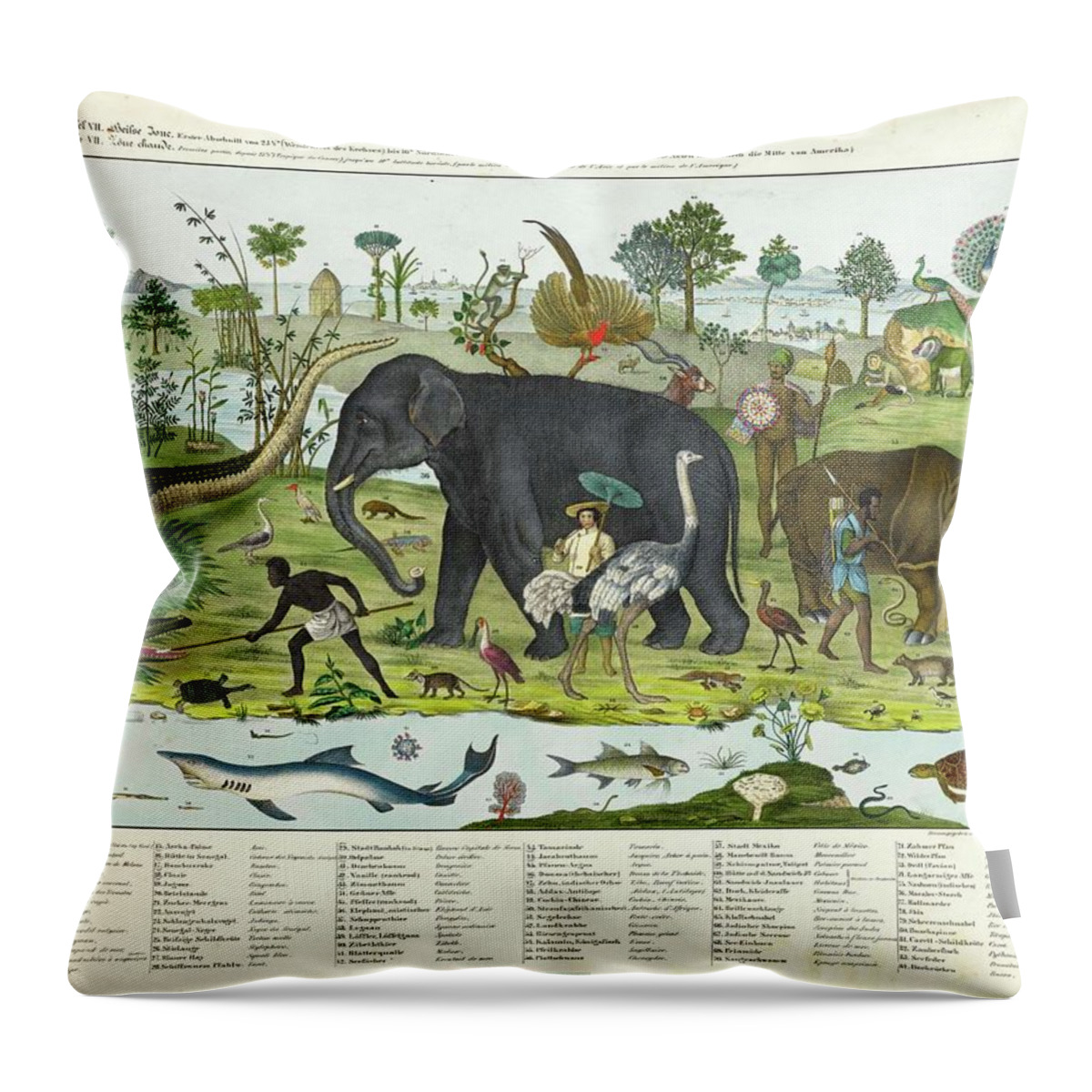 Zoologie - Scheuermann Throw Pillow featuring the painting Emanuel u Hans Heinrich Keller by MotionAge Designs