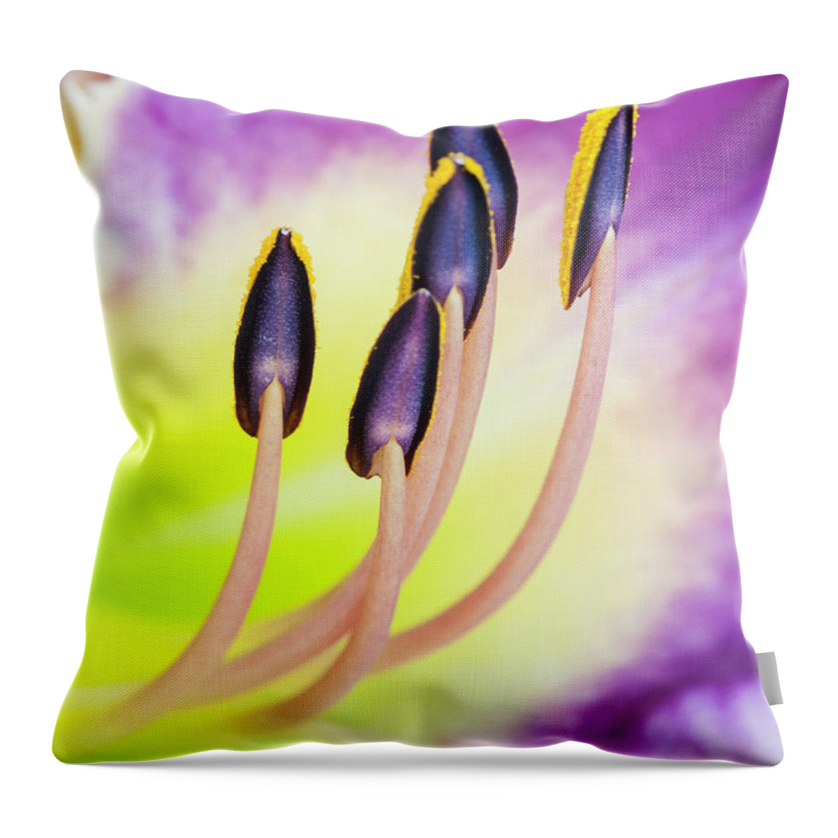 Daylily Throw Pillow featuring the photograph Emerging from fire. by Usha Peddamatham