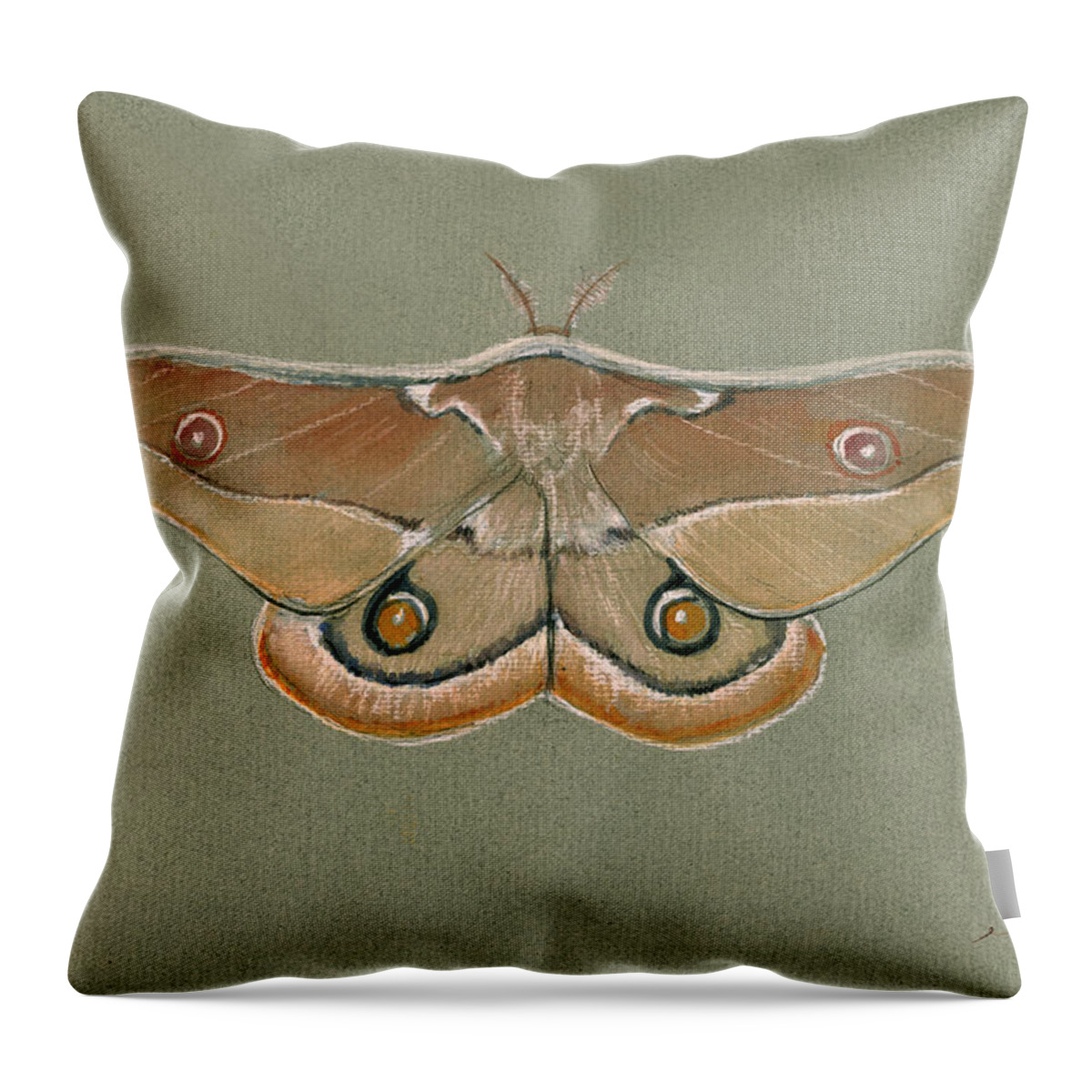  Emperor Gum Moth Throw Pillow featuring the painting Emperor gum moth by Juan Bosco