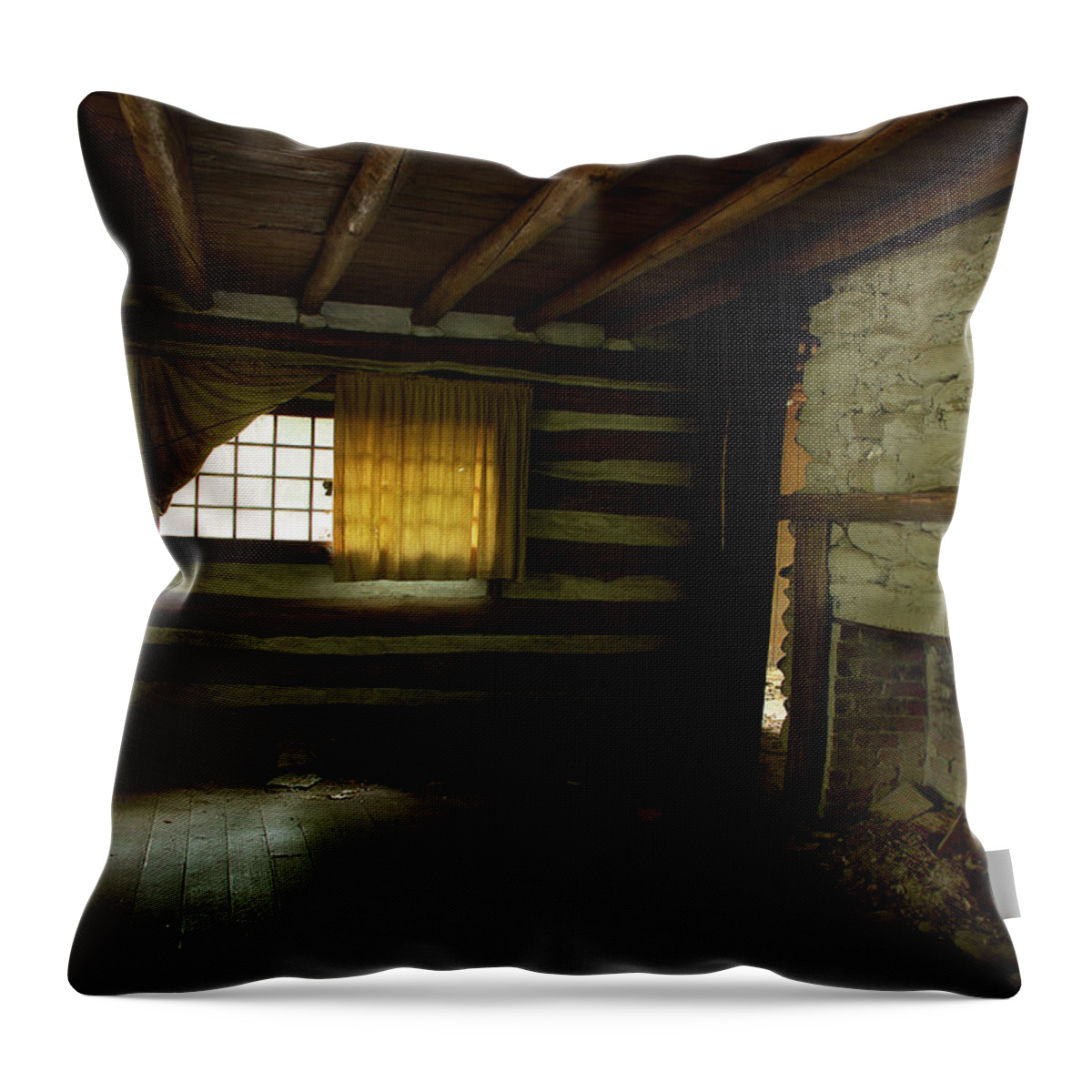 Abandoned Home Throw Pillow featuring the photograph Emptiness by Mike Eingle