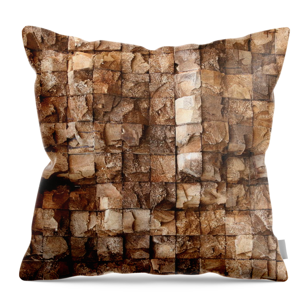Texture Throw Pillow featuring the photograph End grain 132 by Michael Fryd