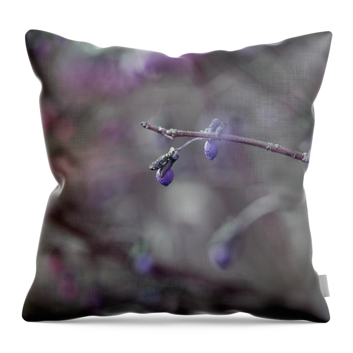Tree Branch Throw Pillow featuring the photograph End Product by Mike Eingle