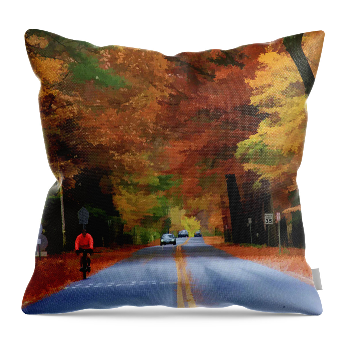Bicycle Throw Pillow featuring the digital art Enjoying The Ride by Xine Segalas